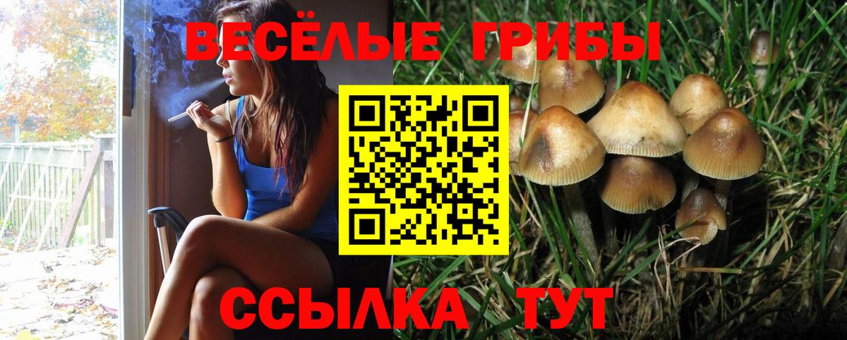 Псилоцибиновые грибы ЛСД  Псилоцибиновые грибы мицелий  Вход с VPN  Ленинск-Кузнецкий 
