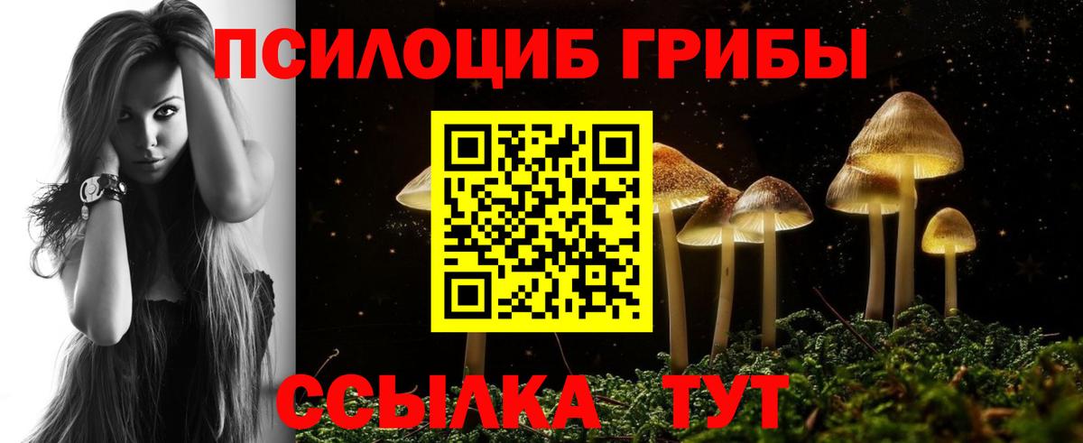 Галлюциногенные грибы прущие грибы Ленинск-Кузнецкий
